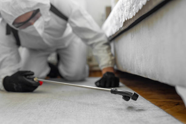 Professional Cockroach Control technician working in Lawrence, MA
